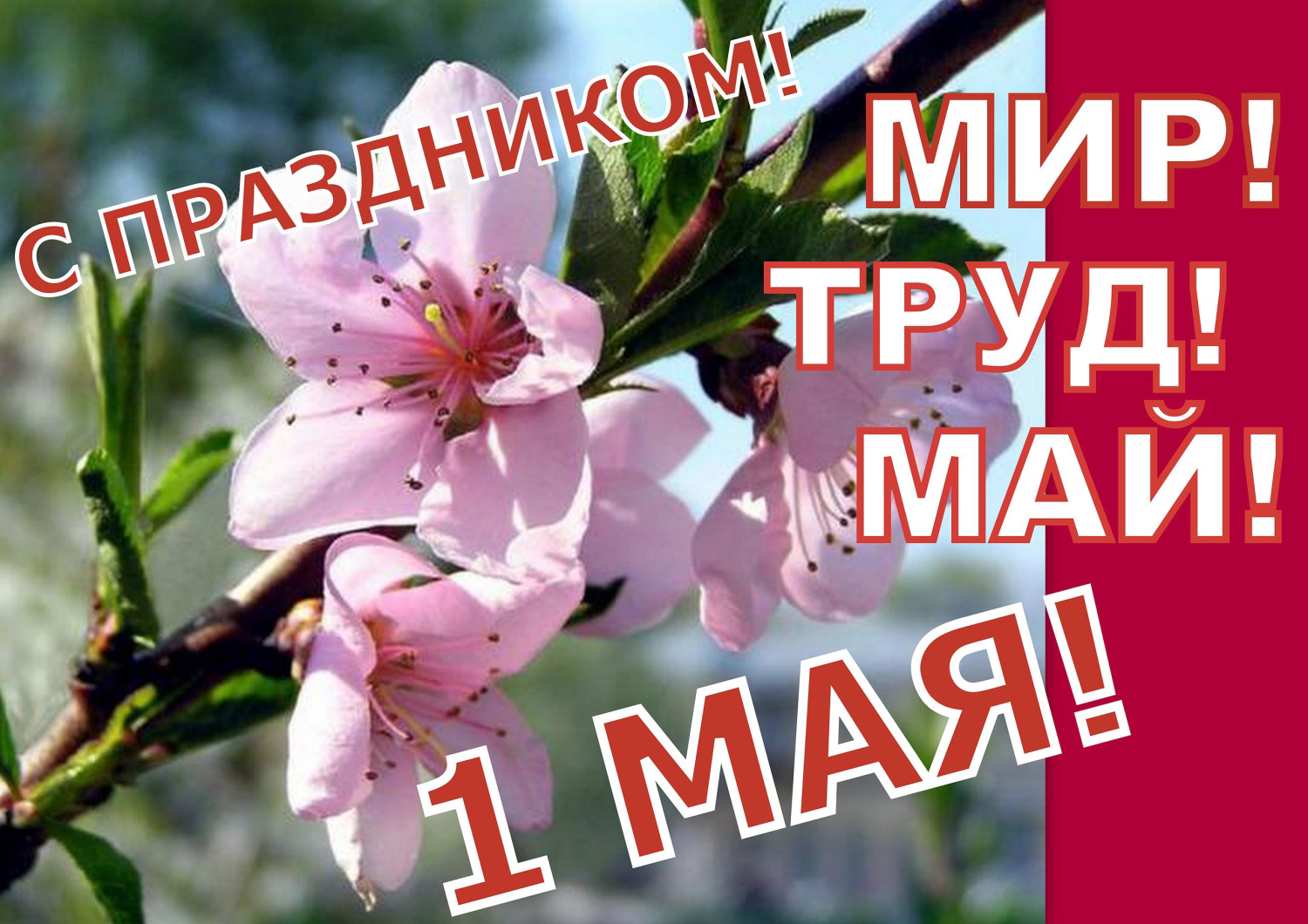 Поздравляем с праздником Весны и Труда! Поздравляем с праздником Весны и Труда!