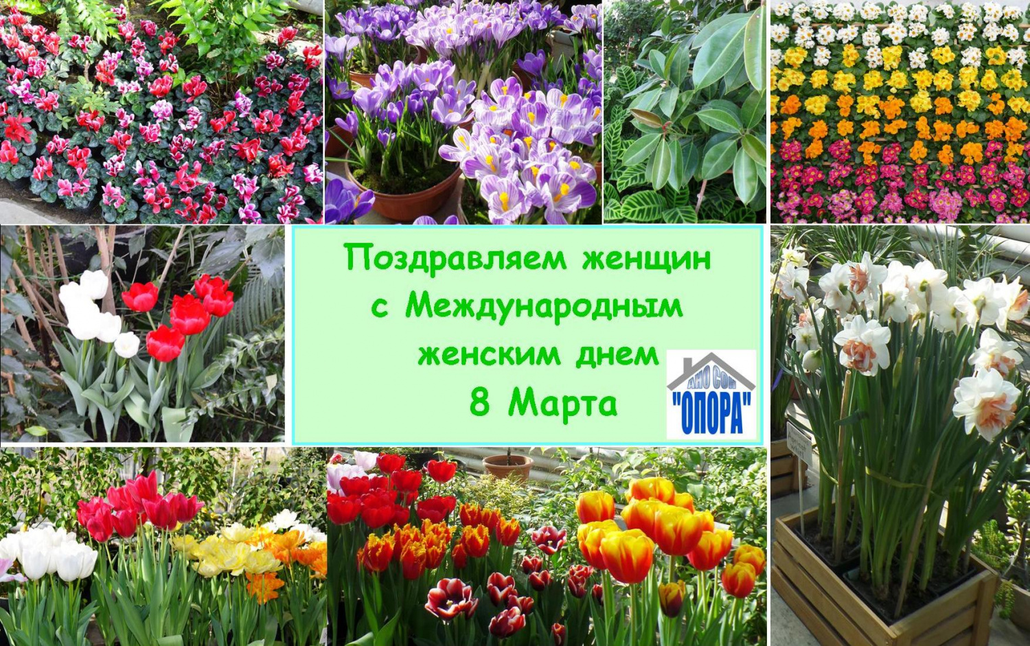 ПОЗДРАВЛЕНИЕ С МЕЖДУНАРОДНЫМ ЖЕНСКИМ ДНЕМ 8 МАРТА! ПОЗДРАВЛЕНИЕ С МЕЖДУНАРОДНЫМ ЖЕНСКИМ ДНЕМ 8 МАРТА!