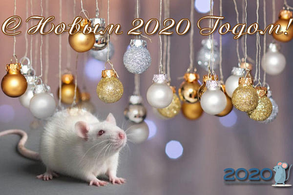 ПОЗДРАВЛЯЕМ С НОВЫМ 2020 ГОДОМ!
