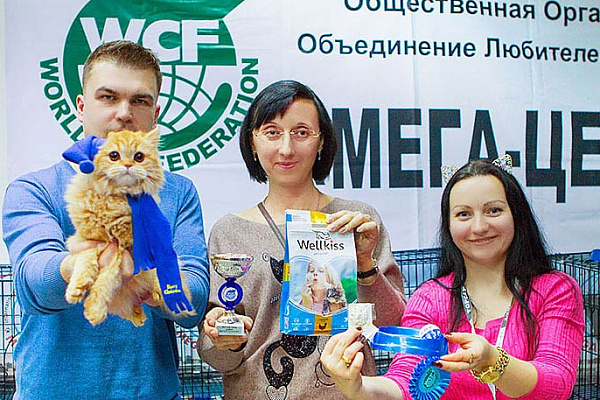 Татьяна Ивановна - эксперт по кошкам, закончила фелинологические курсы